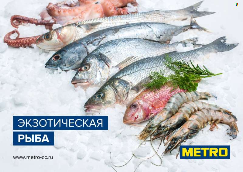 Каталог МЕТРО.
